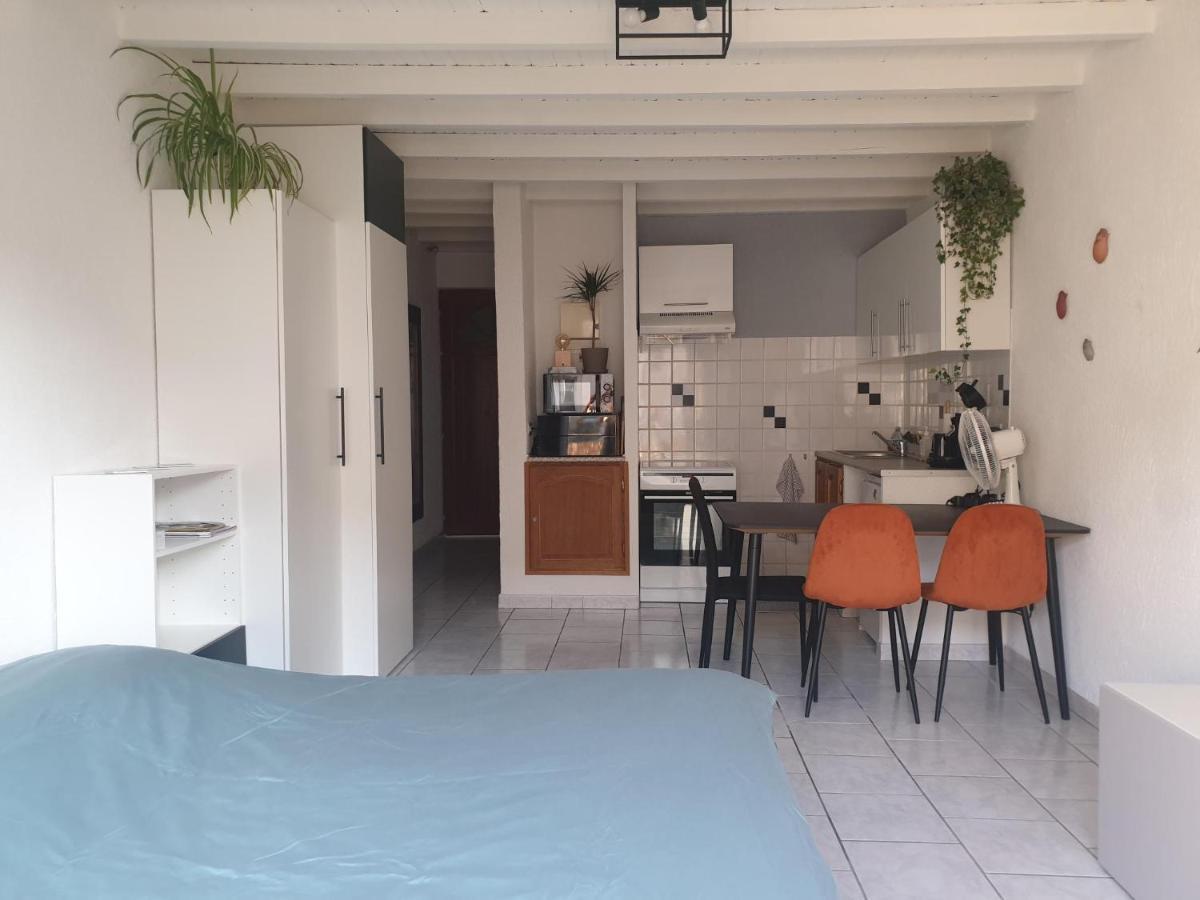 Studio Tout Confort Centre Ville - Balcon, Clim, Tv, Wifi Mazan Ngoại thất bức ảnh